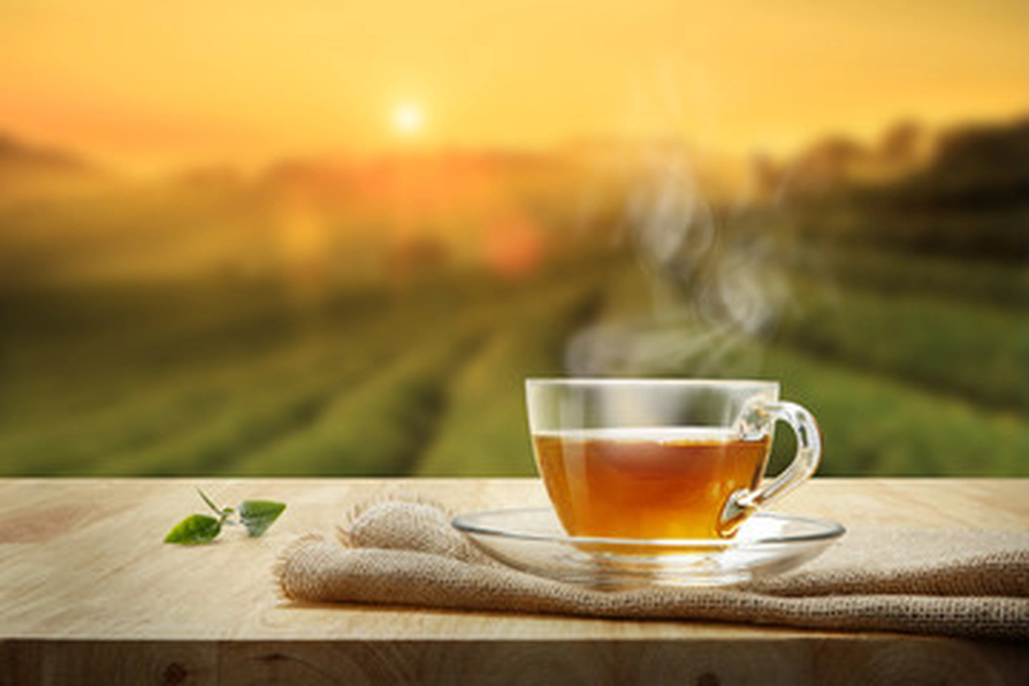 Zeit & Raum für Sie und Ihr Kind – Erzieherin und Heilpädagogin – Das Bild zeigt eine warme Tasse Tee auf einem Holztisch vor dem Hintergrund einer Teeplantage bei Sonnenaufgang oder Sonnenuntergang.